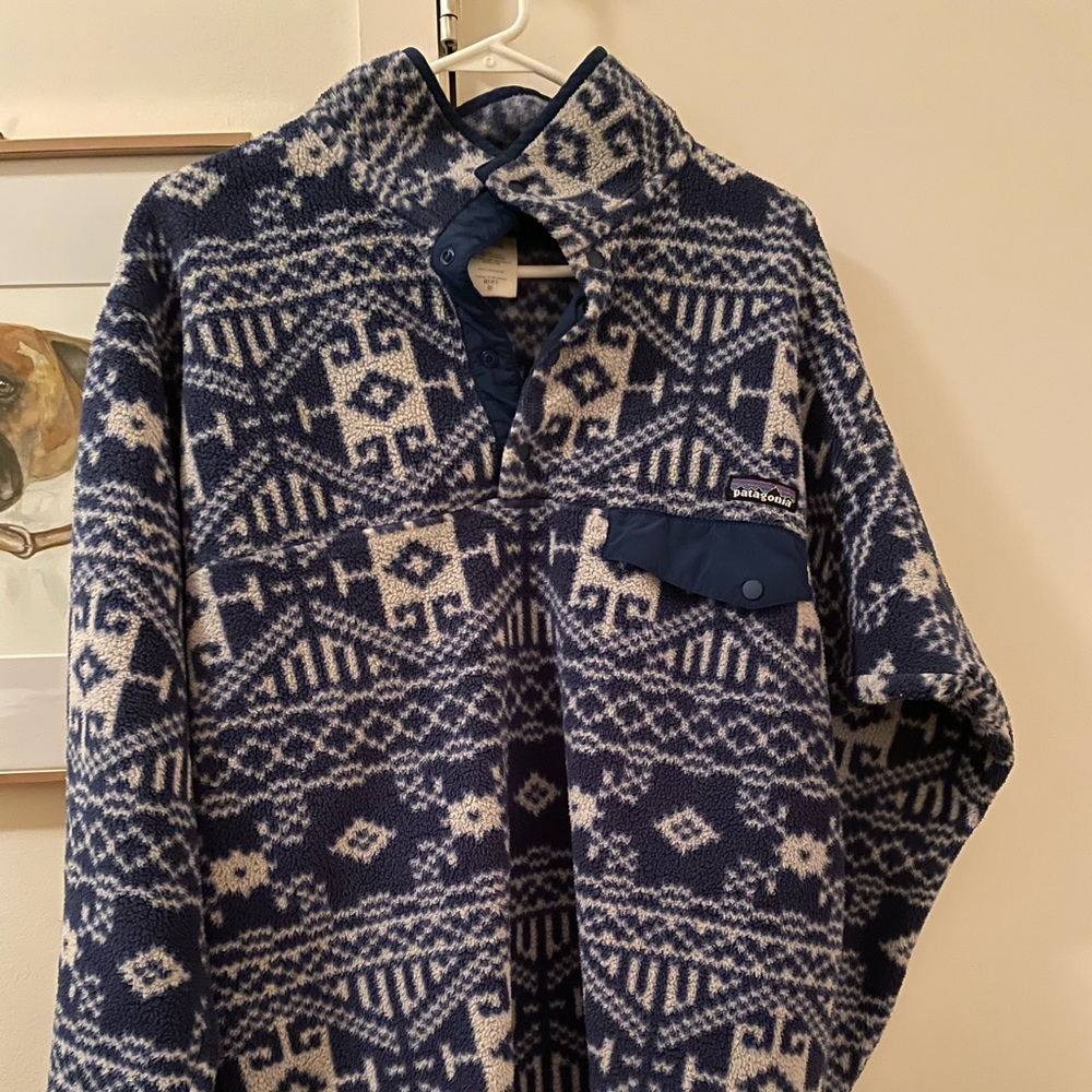Patagonia Synchilla Fleece Pullover